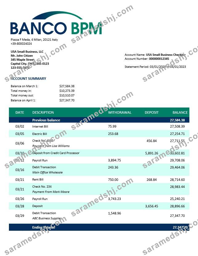Banco BPM enterprise statement Word and PDF template